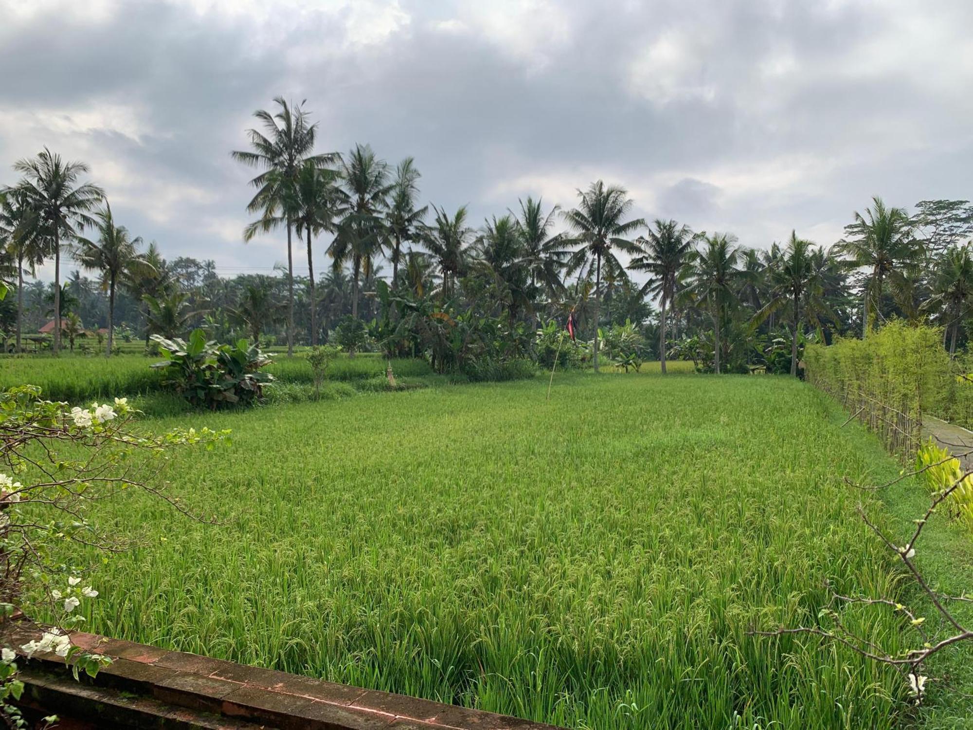 Adi Laxmi Villa Ubud Exterior foto